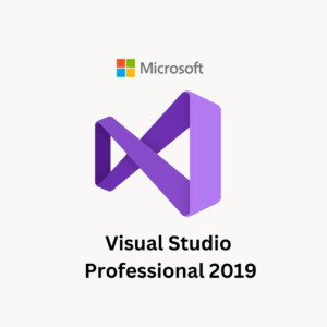 Visual Studio 2019 Professional Lifetime Validity